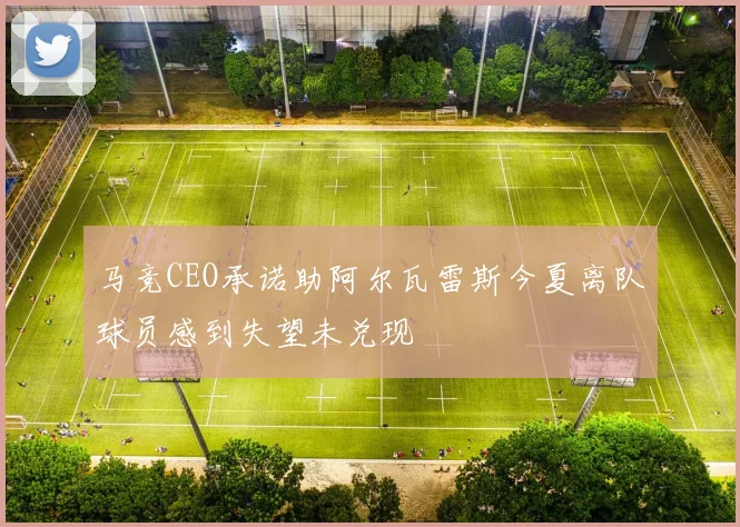 马竞CEO承诺助阿尔瓦雷斯今夏离队球员感到失望未兑现