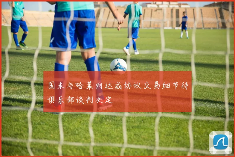 国米与哈莱利达成协议交易细节待俱乐部谈判决定